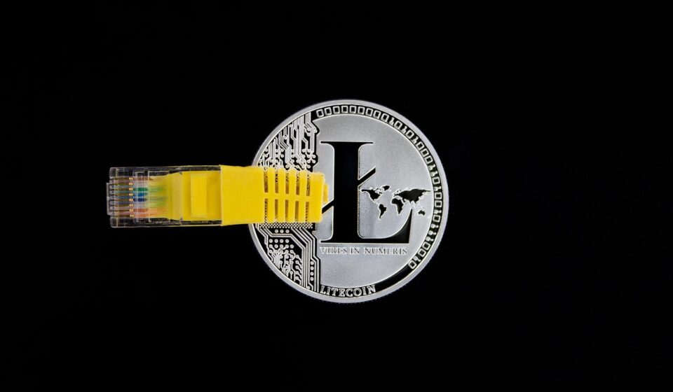cryptocurrency, money, litecoin, digital, cash, payment, investment, crypto, blockchain, cryptography, ledger, currency, asset, concept, decentralized, coin, distributed, decentralization, exchange, usb, ethernet, black money, black digital, litecoin, litecoin, litecoin, litecoin, litecoin
