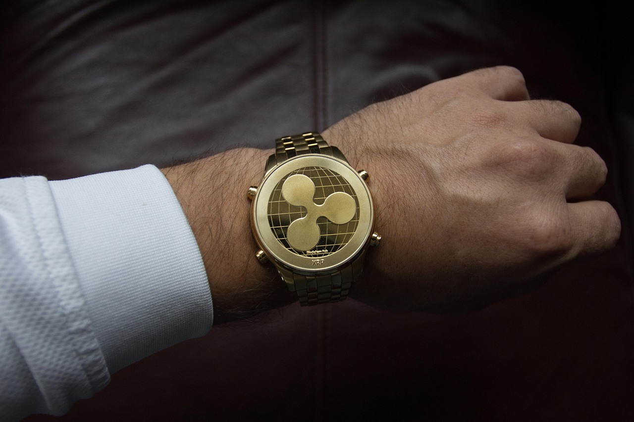 hand, man, cryptocurrency, ripple, watch, wrist, time, fast, speed, money, crypto, coin, time is money, network, blockchain, digital coin, virtual coin, digital asset, cryptocurrency, crypto, crypto, crypto, crypto, crypto