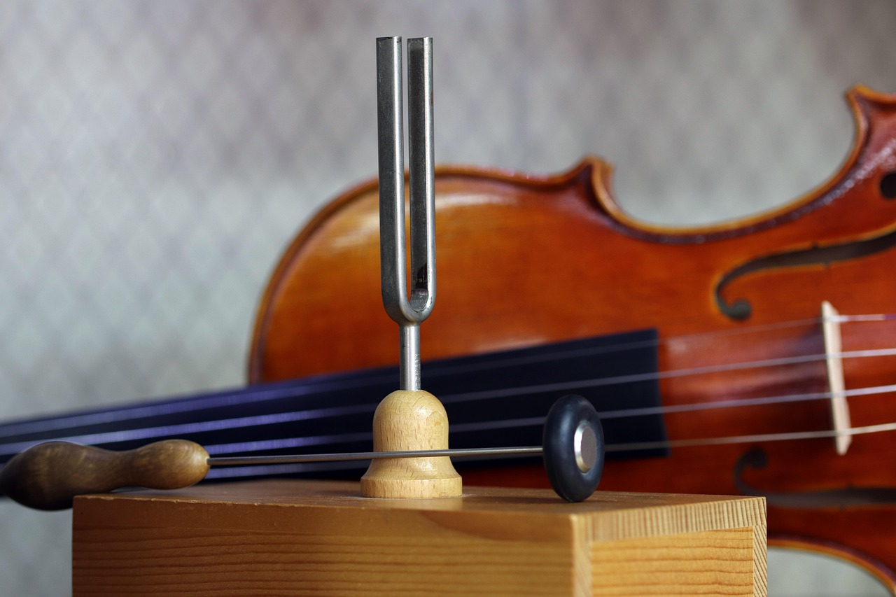 music, instrument, well, standard, musician, stringed instruments, sound, melody, machine, classic, tree, nature, performance, played, violin, resonance