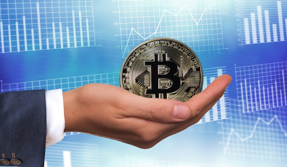 bitcoin, money, gift, hand, keep, give a gift, present, presentation, offer, services, hand over, businessman, businesswoman, men's suit, office, bag, sack, nicholas, santa claus, curve, bitcoin, bitcoin, bitcoin, bitcoin, bitcoin