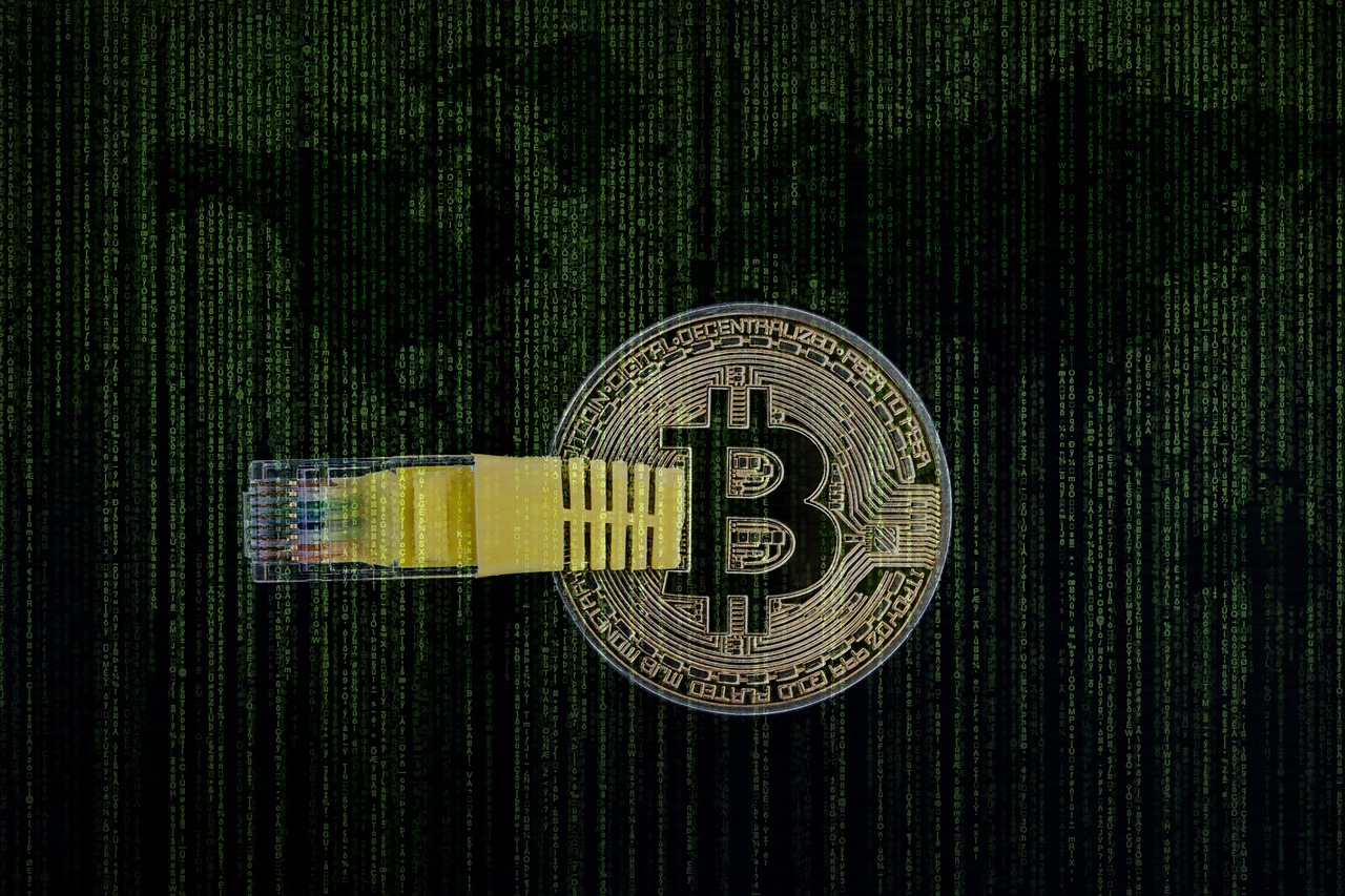 cryptocurrency, money, bitcoin, digital, cash, payment, investment, crypto, blockchain, cryptography, ledger, currency, asset, concept, decentralized, coin, distributed, decentralization, exchange, usb, ethernet, black money, black digital, crypto, crypto, crypto, crypto, crypto, blockchain, cryptography, ledger, ledger, decentralized, decentralized, decentralized
