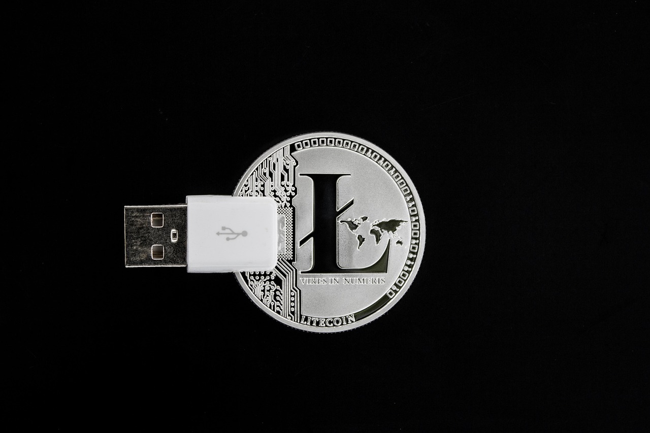 cryptocurrency, litecoin, investment, currency, coin, concept, usb, ledger, payment, banking, crypto, cryptography, money, cash, business, finance, global, asset, black business, black money, black finance, black bank, black company, black global, litecoin, litecoin, litecoin, litecoin, litecoin
